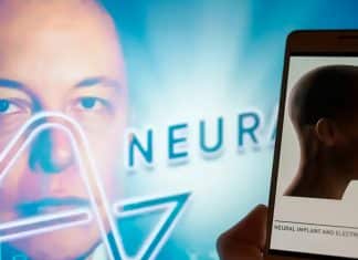 Humano con implante de chip cerebral practica videojuegos con el pensamiento Neuralink revela detalles sobre el avance del paciente a quien le fue implantado un chip cerebral, en enero 2024