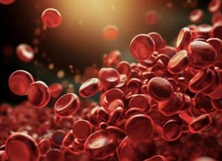 Estudio revela que consumo de proteínas causa graves enfermedades   Universidad de Pittsburgh, destaca que exceso de proteínas podría aumentar enfermedades cardiovasculares.