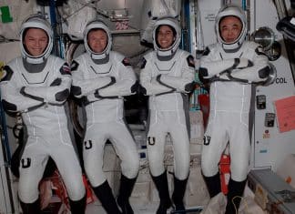 Misión Crew-7 de la NASA culmina con éxito, sus cuatro tripulantes regresan del espacio