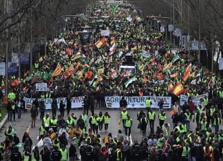 Se registran varios heridos durante protestas de agricultores en España