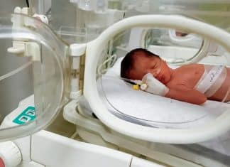 Rescatan con vida a bebé que se encontraba en el vientre de su madre muerta tras un ataque de Israel a Gaza La bebé tenía alrededor de 30 semanas de gestación y pesó 1.4 kg