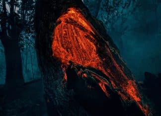 Nicaragua sede de la exposición de obras del Concurso Internacional de Fotografía Andréi Stein En Latinoamérica, Nicaragua, exhibe las obras ganadoras del concurso Internacional de Fotografía Andréi Stein 2023