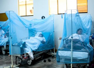 Alerta sanitaria en América Latina ante aumento de pacientes con dengue