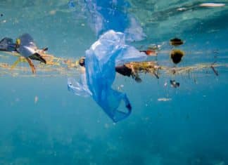 Estas son las empresas que más contaminan con plástico el Planeta