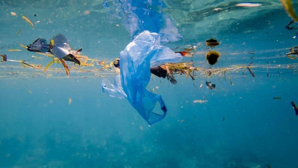 Distintas empresas responsable del 50 % de la contaminación mundial por plástico en el Planeta. 