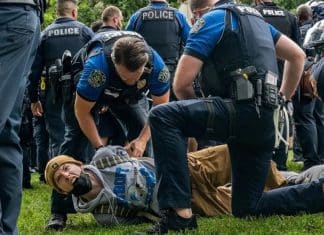 Cerca de 600 estudiantes en Estados Unidos arrestados por mostrar apoyo a Palestina