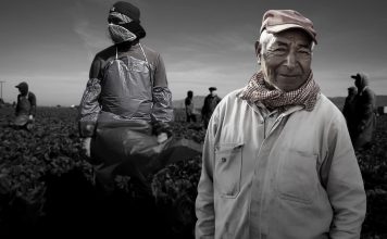 ¿Cuánto aportan los migrantes a EE.UU.? La población migrante, especialmente la latinoamericana, aporta significativamente a la economía y la cultura estadounidense