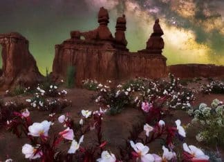 Las mejores fotos de la Vía Láctea 2024 “Capture the Atlas” recopiló más de 5 mil fotografías de la Vía Láctea capturadas desde distintas partes del mundo