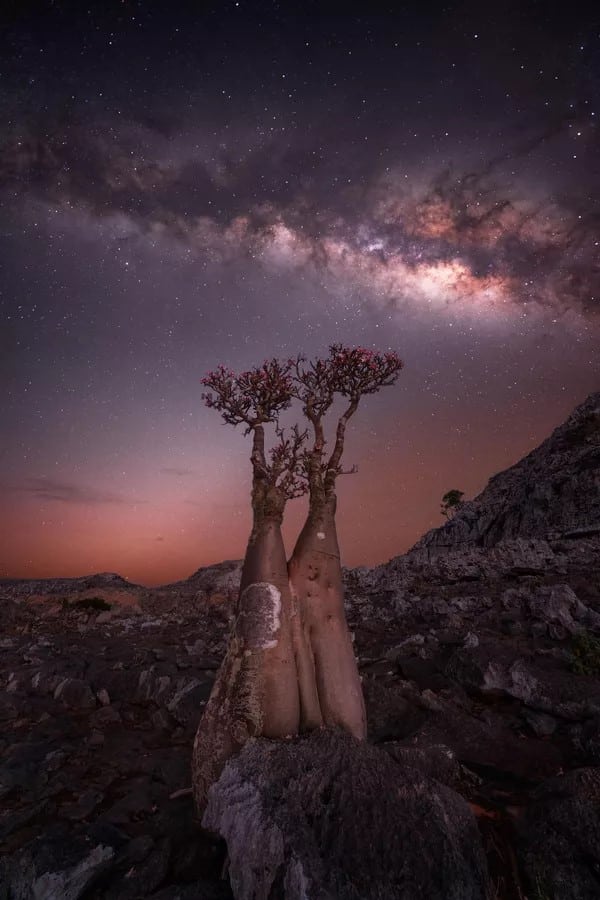 Fotografía: Atmospheric fireworks por Julien Looten, tomada en en las islas Socotra en Yemen.