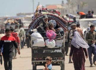Alrededor de 800 mil gazatíes han abandonado Rafah desde el inicio de la agresión militar de Israel Bombardeos de Israel en Rafah fuerzan a huir a 800,000 civiles de la zona