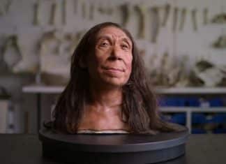 Arqueólogos reconstruyen el rostro de una neandertal de hace 75 mil años Arqueólogos de la Universidad de Cambridge estuvieron a cargo de la reconstrucción del rostro de la mujer neandertal