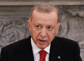 Erdogan: Ningún Estado permanecerá seguro, hasta que Israel respete el derecho internacional Erdogan exige control internacional sobre Israel ante la agresión en Gaza, para garantizar seguridad global.