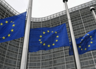 Estos son los países de la UE que reconocerán el Estado de Palestina Los países que han anunciado sus pretensiones de reconocer el Estado de Palestina, son: España, Irlanda, Malta y Eslovenia.