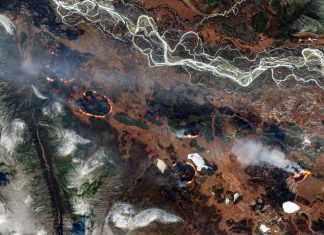 “Incendios zombis” son causa y efecto del calentamiento global Los incendios zombis, se producen cuando las turberas arden bajo tierra en invierno, y el fuego reaparece en primavera