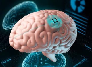 Implante con IA restaura el habla en paciente bilingüe con derrame cerebral Equipo de científicos ayudan a devolver el habla a un paciente que sufrió derrame cerebral con implante cerebral con IA.