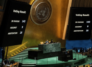 ONU otorga derechos a Palestina y solicita que sea un Estado pleno El Estado de Palestina gana nuevos derechos en la ONU