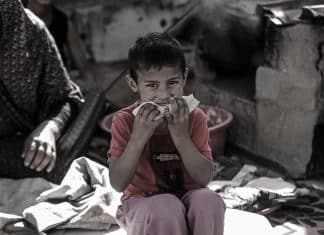 Peligro de hambruna en Gaza tras aumento de ataques de Israel en Rafah Bombardeos del Ejército de Israel en Rafah, han obligado a suspender la entrega de ayuda humanitaria en la Franja de Gaza.