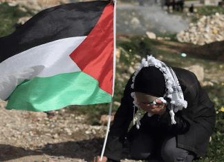 Los BRICS respaldan la incorporación de Palestina como miembro pleno de la ONU Grupo de los BRICS preocupados por el deterioro del territorio palestino a causa de la guerra de Israel.