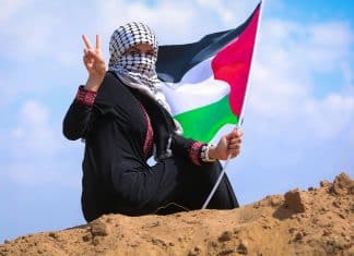 Relatores de la ONU instan a todos los países a reconocer al Estado de Palestina Según los relatores especiales de la ONU con el reconocimiento del Estado de Palestina, puede lograr la paz en la región.