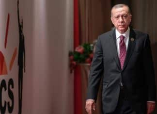 Turquía interesada en cooperar con el BRICS Turquía participará en la próxima reunión BRICS que pronto se celebrará en Kazán, Rusia.