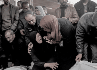 Mensaje de Gaza. Mensaje para Gaza