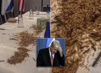 Arrojan gusanos en hotel de Washington donde se hospeda Netanyahu Gusanos y grillos encontrados en el hotel Donde está alojado Netanyahu.