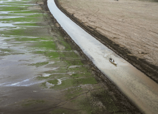 Comunidades de la Amazonía en Brasil aisladas y sin servicios básicos por la Sequía La sequía propicia el aislamiento de las poblaciones asentadas en los territorios de la Amazonía brasileña.