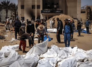 Congresista de EEUU condena ataque genocida israelí contra escuela de Jan Yunis La congresista estadounidense denunció bombardeo israelí en Jan Yunis, Gaza, como un "repugnante genocidio".