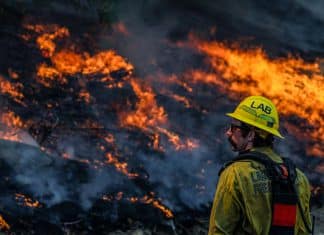 En fotos: Incendios azotan California Incendio en California se extiende a cuatro condados y obliga evacuaciones.
