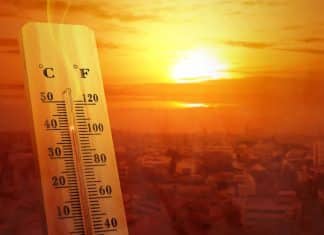 Guterres insta a tomar medidas ante las olas de calor global António Guterres, secretario general de la ONU, detalló las afectaciones producidas por las olas de calor en 2024.