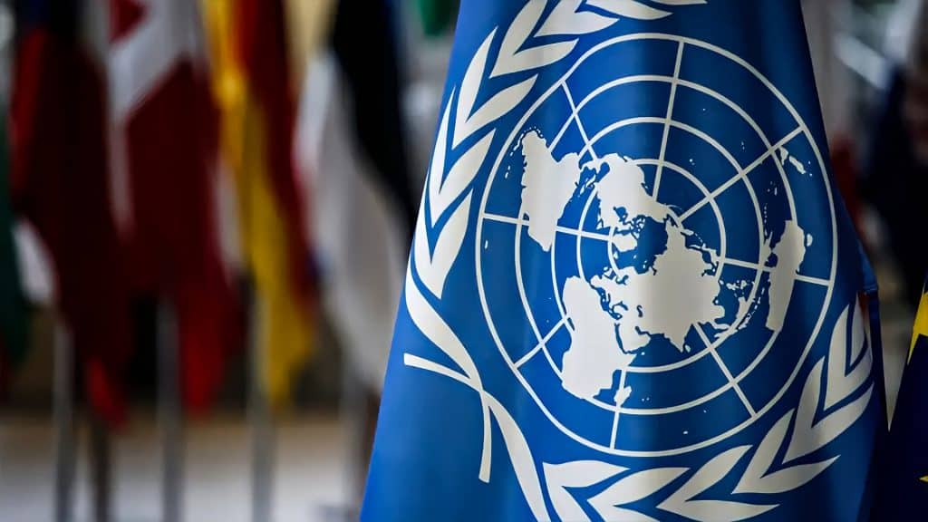 La ONU no está fracasando, sino que, Occidente elige qué acatar, según su conveniencia.