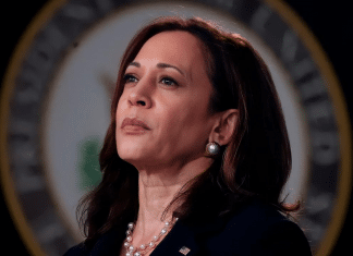 ¿Quién será el candidato demócrata que enfrentará a Trump? Biden apoya la postulación de Kamala Harris por el Partido demócrata como candidata a la presidencia de EEUU.