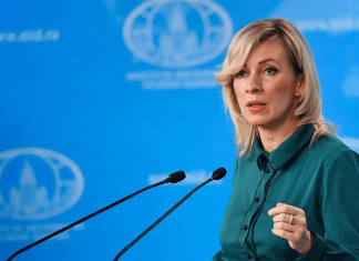 Rusia denuncia cierre de investigación de Suecia sobre Nord Stream Rusia cuestionó la salida de Suecia de las indagaciones en el caso de los gasoductos Nord Stream.