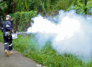 Casos de dengue continúa en aumento en Panamá Panamá se registró un aumento en los casos de dengue en comparación a la cifra reportada, durante el mismo período del año anterior.