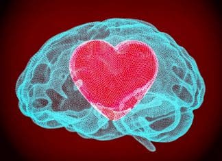 Estudio revela dónde se origina el amor y cómo se activa en el cuerpo Investigadores revelan cómo el amor activa áreas específicas del cerebro.