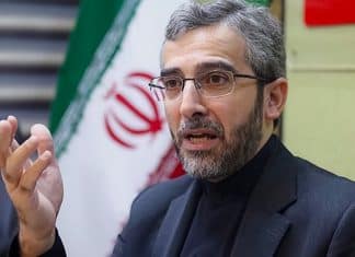 Irán fortalecerá multilateralismo con la Organización de Cooperación Económica El canciller persa, resaltó que la política exterior de Irán, promueve la cooperación económica y cultural en la región.