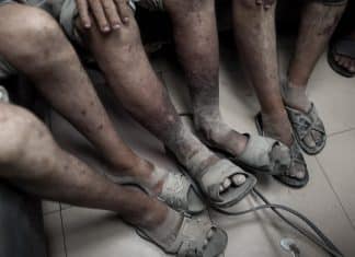 ONU acusa a Israel de torturar a prisioneros palestinos utilizando perros Informe de la ONU acusa a Israel de tortura con perros a prisioneros palestinos.