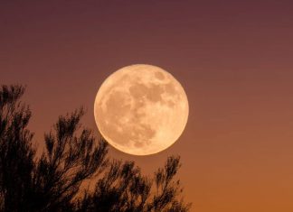 ¿Cuándo se podrá ver la superluna?