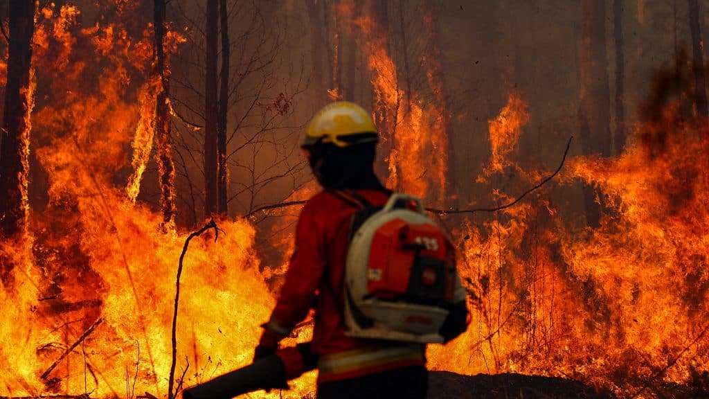 Bolivia decreta estado de desastre nacional por incendios forestales.