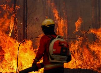 Bolivia declara estado de desastre nacional debido a los incendios forestales Bolivia decreta estado de desastre nacional por incendios forestales.