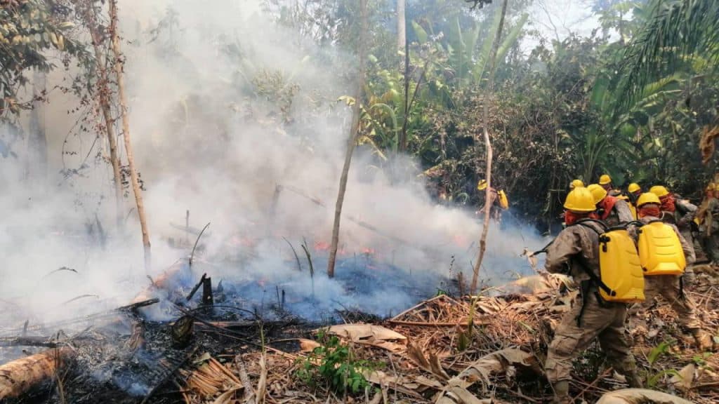 Bolivia proclamó un estado de desastre nacional debido a los graves incendios forestales que están azotando el este del país.