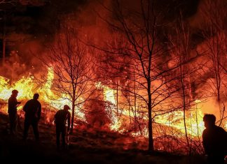 Incendios forestales arrasan la capital de Ecuador Ecuador enfrenta incendios simultáneos con saldo de heridos y familias evacuadas.