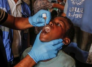 Finaliza campaña de vacunación contra la polio en Gaza La UNRWA en la Franja de Gaza, informó sobre la conclusión de la primera etapa de vacunación contra la poliomielitis.