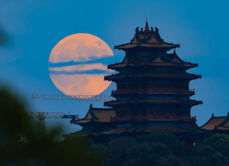 Las impresionantes fotografías del eclipse parcial lunar y la Superluna En diferentes partes del mundo se pudo apreciar el eclipse lunar y la Superluna.