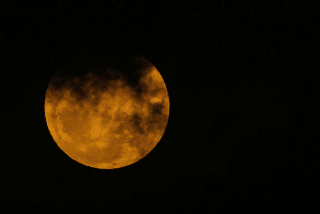 En Belo Horizonte, Brasil, la Superluna se tornó de color amarillento. Fotografía: ZUMAPRESS.com / Cordon Press