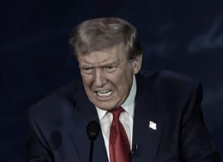 Trump: migrantes se están comiendo a perros y gatos Donald Trump asegura durante primer debate contra Kamala Harris, que migrantes habitantes de Springfield comen perros y gatos.