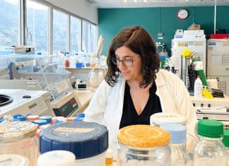 Consiguen primera cura del VIH mediante un trasplante de células madre sin mutación protectora Nuevo hito en la cura del Virus de Inmunodeficiencia Humana (VIH).