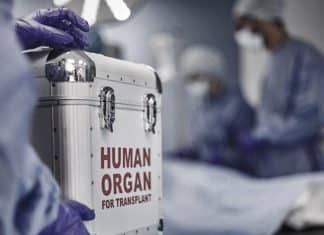 Arrestan a implicados en trasplantes de órganos infectados con VIH en Brasil La policía brasileña detuvo a 2 personas implicadas en el trasplante de órganos infectados con VIH.