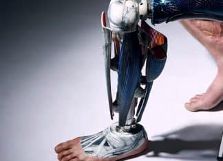 Científicos diseñan pierna robótica con músculos artificiales Los científicos esperan crear robots humanoides que realicen actividades domésticas, a partir del experimento del diseño de la pierna robótica.