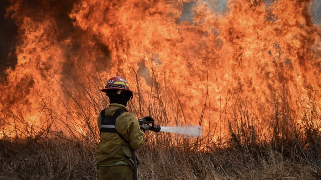 Incendios forestales en Bolivia alcanzaron bosques, pastizales e incluso áreas protegidas.